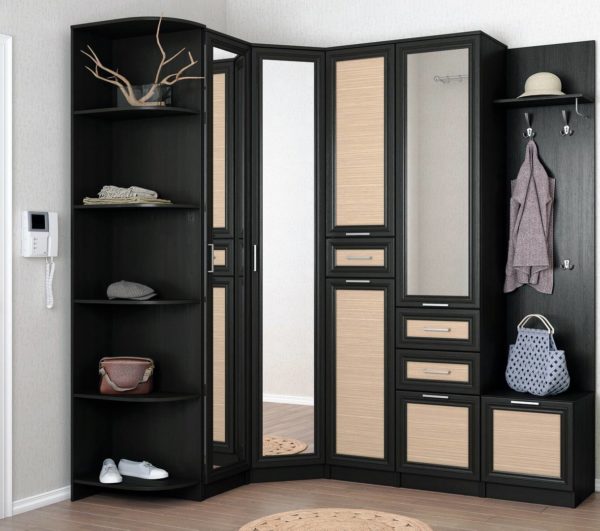 Угловой шкаф-купе c распашными дверями в прихожую №30